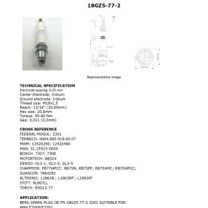 18GZ5772 FEDERAL MOGUL page 0001