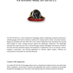 10702049_20T-250-18-1_technical data sheet