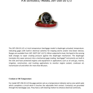 10702051_20T-250-25-1_technical data sheet