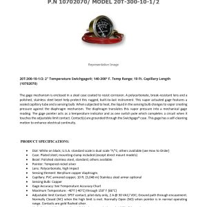 10702070_20T-300-10-1-2_technical data sheet
