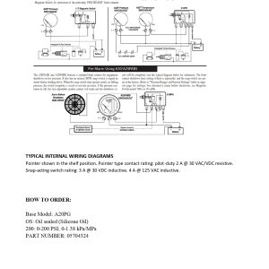 05704324_A20PG-OS-200_MURPHY_technical data sheet