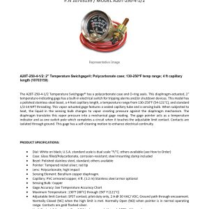 10703159_A20T-250-4-1_2_technical data sheet
