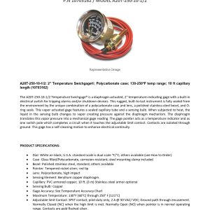 10703162_A20T-250-10-1_2_technical data sheet