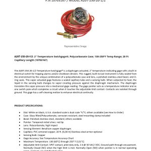 10703167_A20T-250-20-1_2_technical data sheet