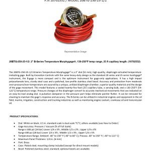 10702552_20BTG-250-25-1_2_technical data sheet