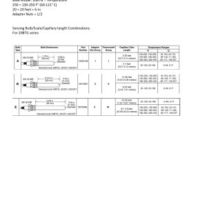 10702571_20BTG-250-20-1_2_technical data sheet