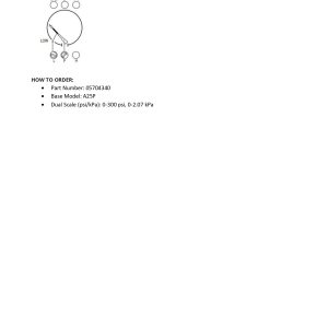 05704340_A25P-300_MURPHY_technical data sheet